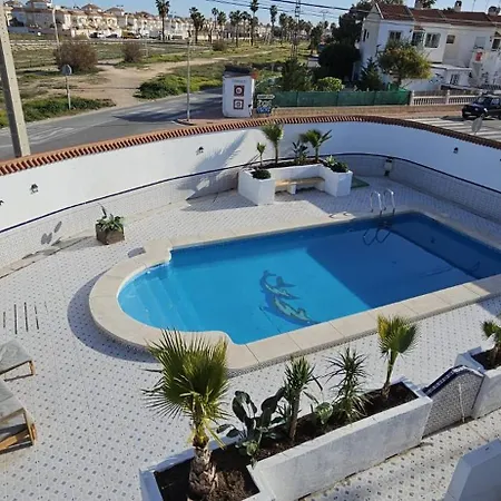 Blue Dream Torrevieja