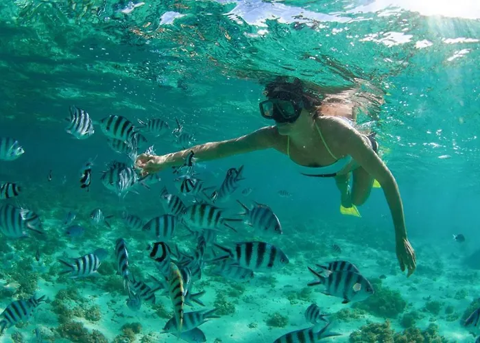 Casa Mi Mar Torrevieja